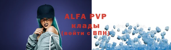индика Верхний Тагил