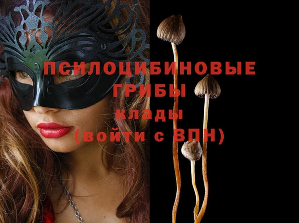 индика Верхний Тагил