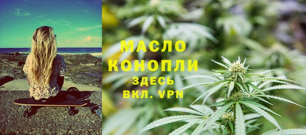 индика Верхний Тагил