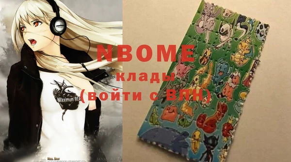 индика Верхний Тагил