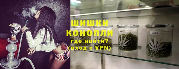 индика Верхний Тагил