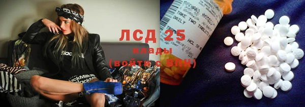 индика Верхний Тагил