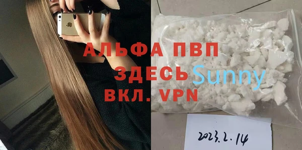 индика Верхний Тагил